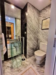 St. Regis Residences (D10), Apartment #574131981